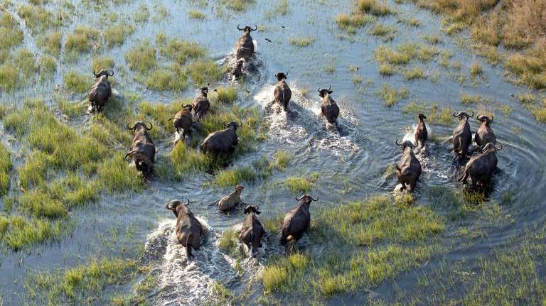 12-day Okavango Delta  Etosha Express Camping trip - alternative tour available