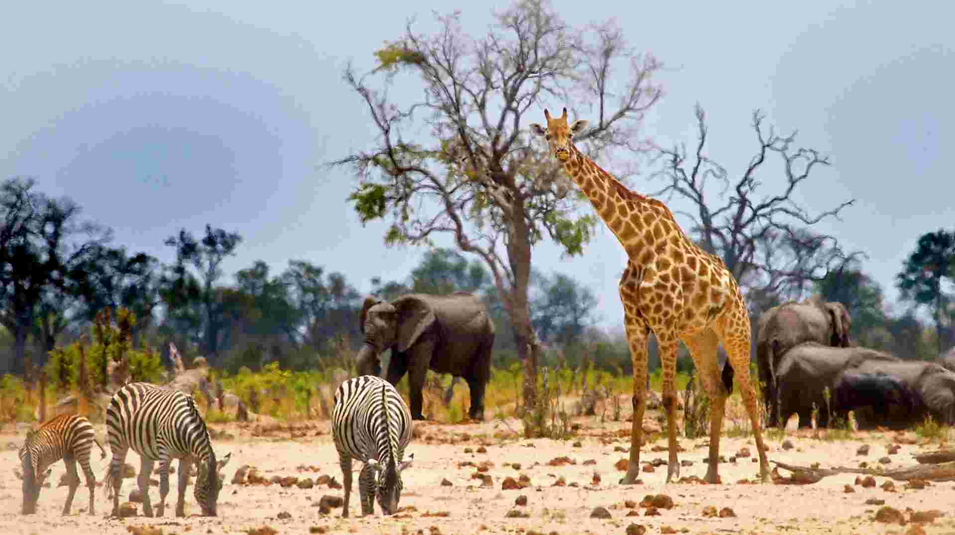 14-day Mozambique and Zimbabwe Explorer Camping