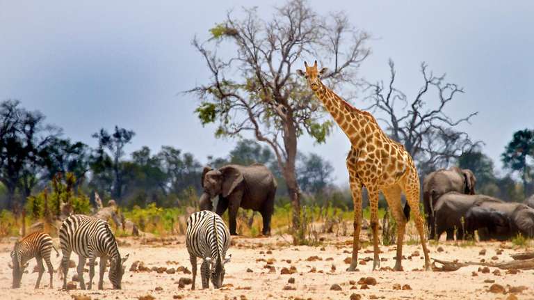 14-day Mozambique and Zimbabwe Explorer Camping trip - alternative tour available