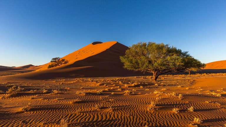 Windhoek Wildlife Tour: 25-day Kruger  Victoria Falls to Cape Town Camping