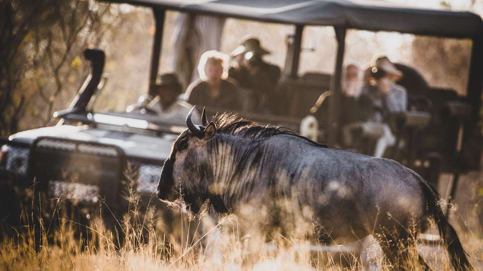 25-day Kruger Victoria Falls to Cape Town Camping - Acacia Africa - South Africa - Image 3