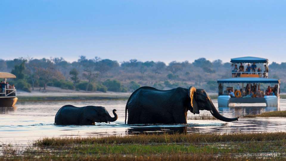 25-day Kruger Victoria Falls to Cape Town Camping - Acacia Africa - South Africa - Image 4