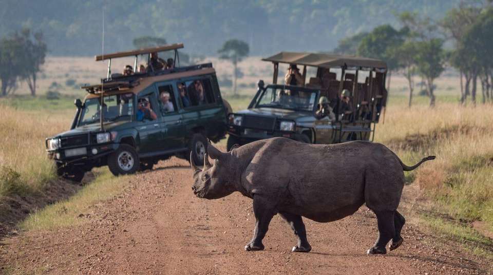 19-day Cape Town to Victoria Falls Camping - Acacia Africa - South Africa - Image 4