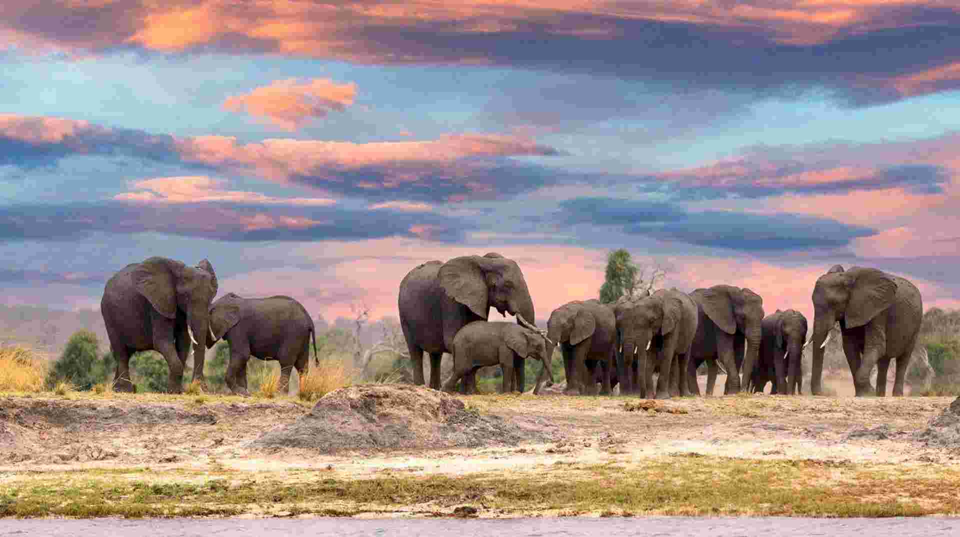 25-day Cape Town to Victoria Falls Kruger Camping