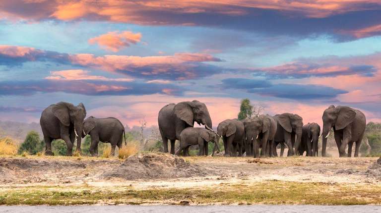 25-day Cape Town to Victoria Falls  Kruger Camping - August 2026