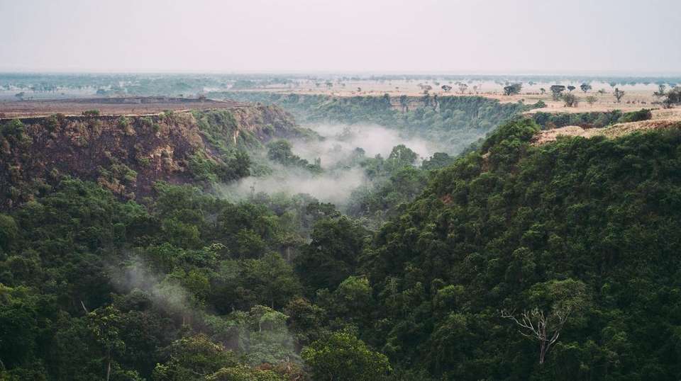 6-day Gorilla Encounter Camping - Acacia Africa - Uganda - Image 4