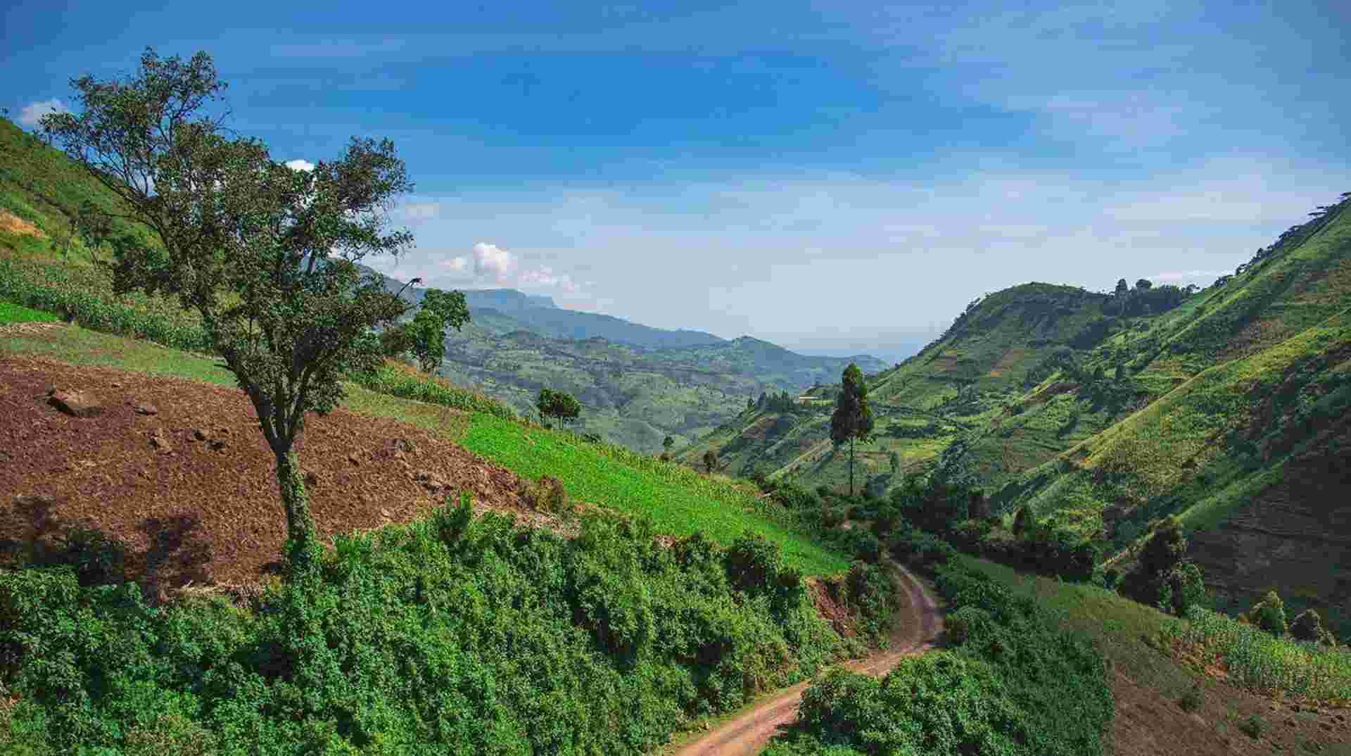 18-day Gorillas to the Mara Camping