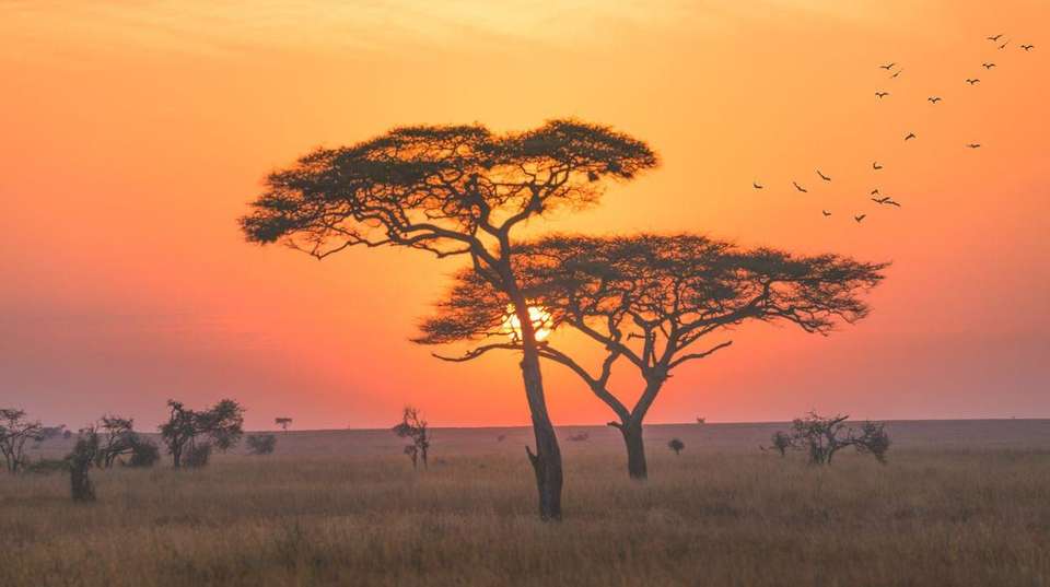 13-day Kenya  Tanzania Adventure Camping - Acacia Africa - Kenya - Image 3