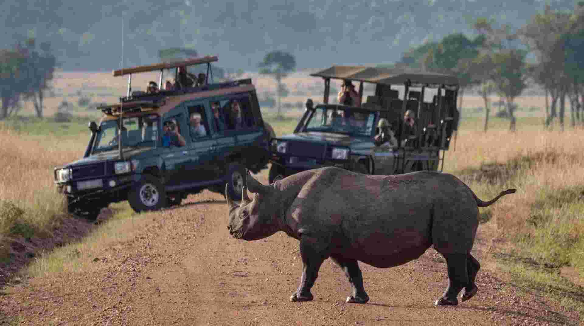 29-day Kruger  Victoria Falls to Serengeti Camping