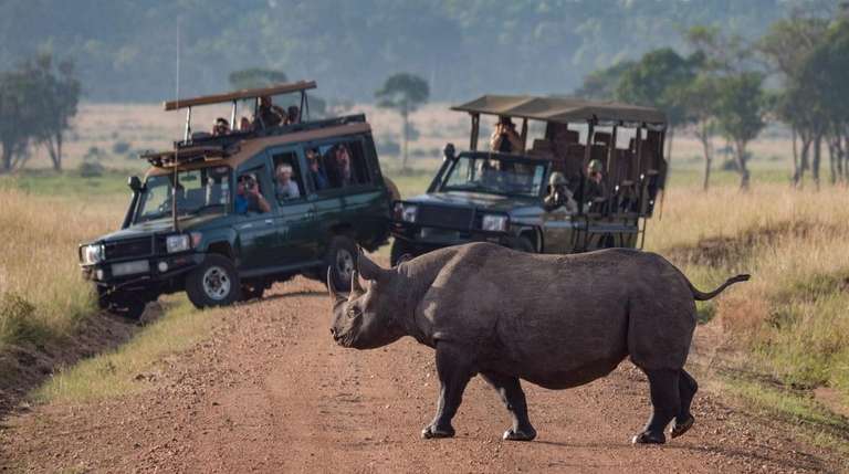 29-day Kruger  Victoria Falls to Serengeti Camping trip - alternative tour available