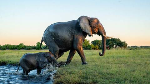 Windhoek Wildlife Tour: 41-day Cape Town To Kenya Camping