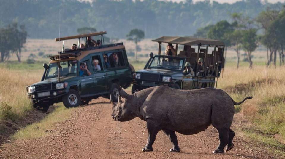 35-day Cape Town to Zanzibar Camping - Acacia Africa - South Africa - Image 3