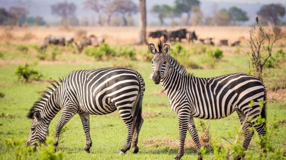 34-day Zanzibar to Cape Town Camping - Acacia Africa - Tanzania - Image 2