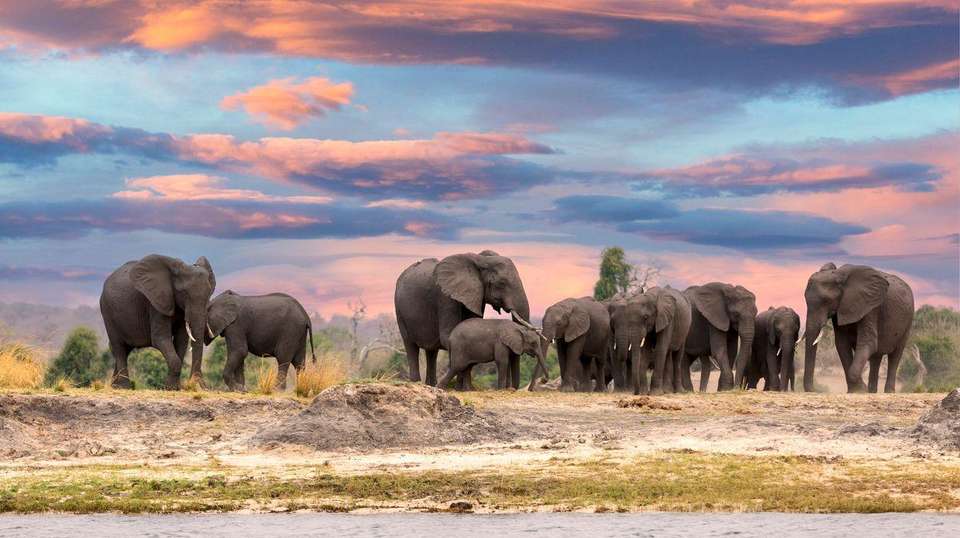 34-day Zanzibar to Cape Town Camping - Acacia Africa - Tanzania - Image 4
