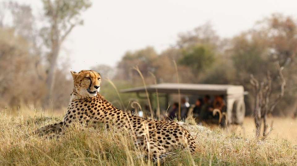 43-day Kenya to Cape Town Camping - Acacia Africa - Kenya - Image 4