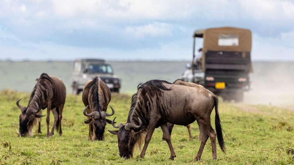 58-day Gorillas to Cape Town Camping - Acacia Africa - Kenya - Image 2