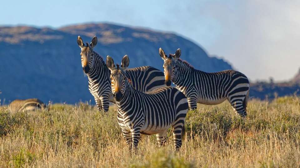 12-day Durban, Lesotho Cape Town Camping - Acacia Africa - South Africa - Image 2
