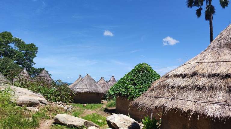 7-day Okavango Wilderness Trail Accommodated trip - alternative tour available