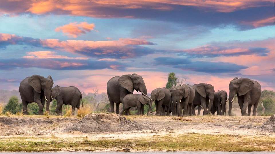 7-day Okavango Wilderness Trail Accommodated - undefined - Image 4