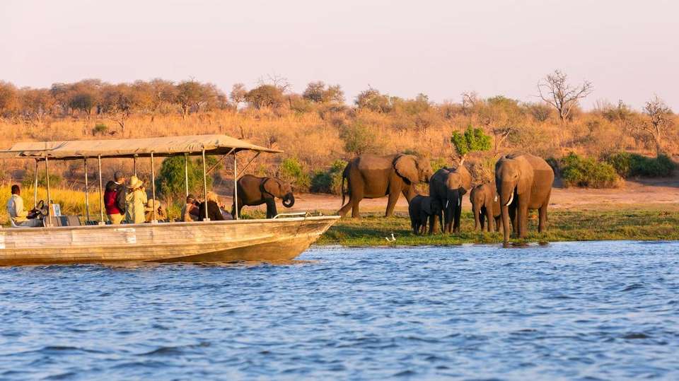 14-day Kruger to the Delta, Chobe Victoria Falls Accommodated - Acacia Africa - South Africa - Image 3
