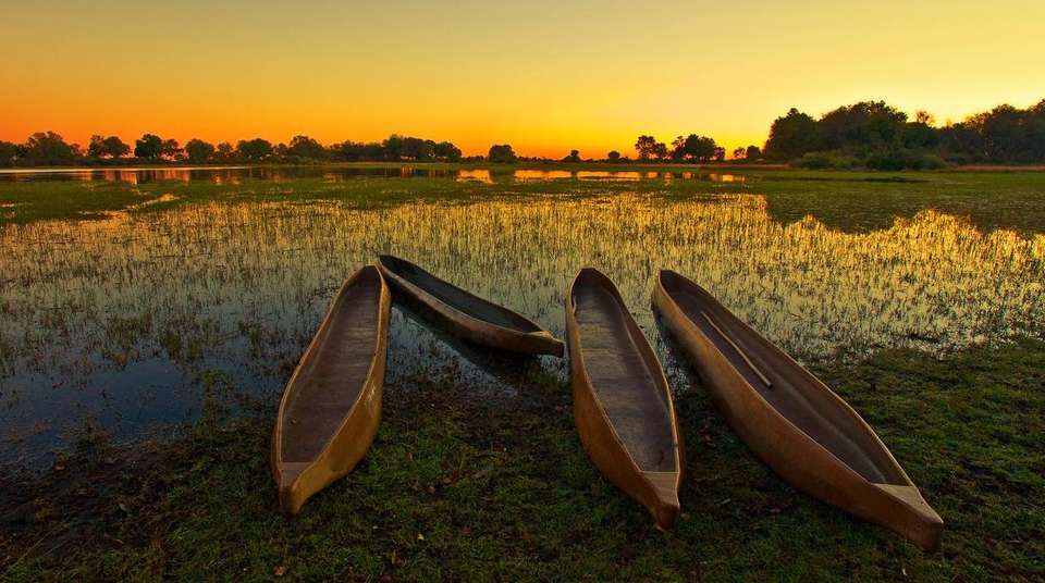 14-day Kruger to the Delta, Chobe Victoria Falls Accommodated - Acacia Africa - South Africa - Image 4