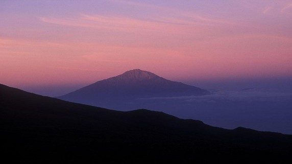 Image 5 of 10