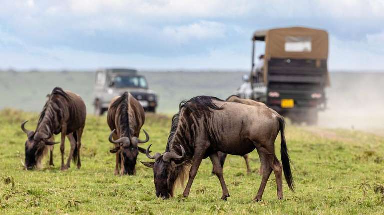 24-day Masai Mara to Victoria Falls Accommodated