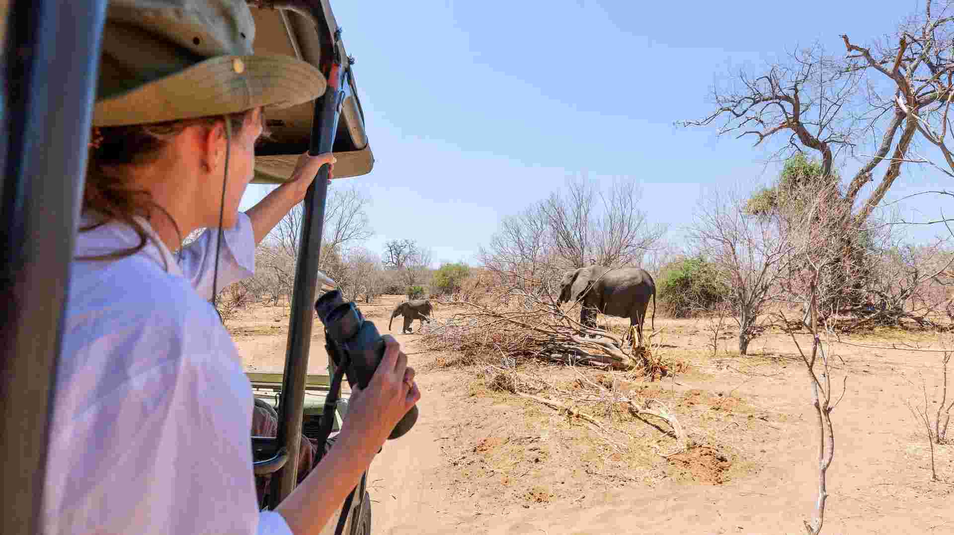 7-day Kruger to Victoria Falls Accommodated