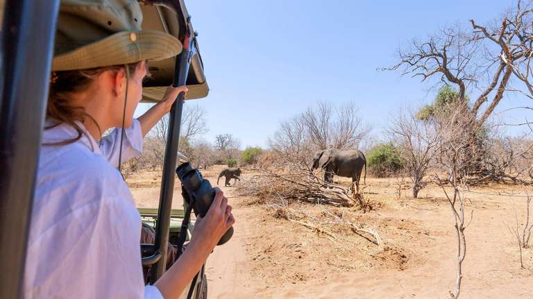 7-day Kruger to Victoria Falls Accommodated trip - alternative tour available