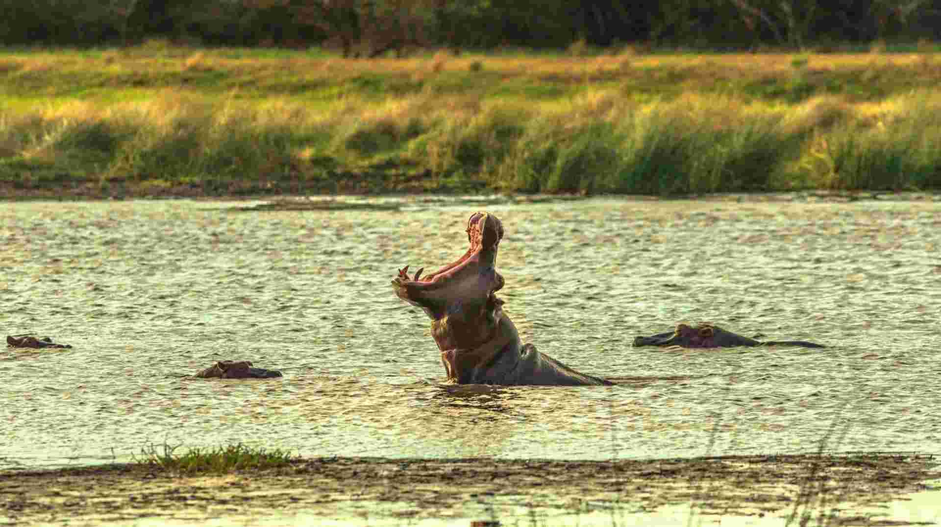 20-day South Africa, Lesotho  Eswatini Explorer Accommodated