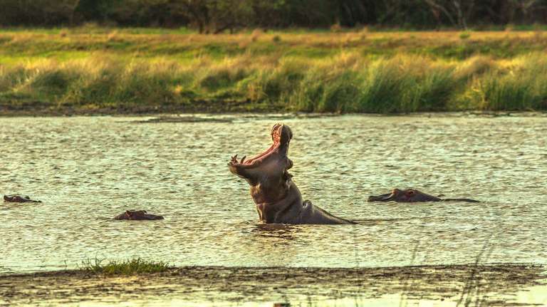 20-day South Africa, Lesotho  Eswatini Explorer Accommodated trip - alternative tour available