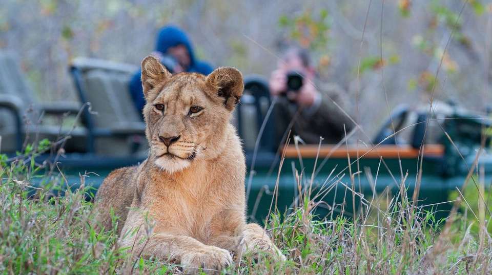 4-day Kruger Safari Accommodated - Acacia Africa - South Africa - Image 4