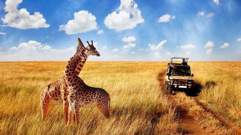 4-day Kruger Safari Accommodated trip - alternative tour available
