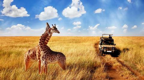 Pretoria Explorer Tour: 4-day Kruger Safari Accommodated