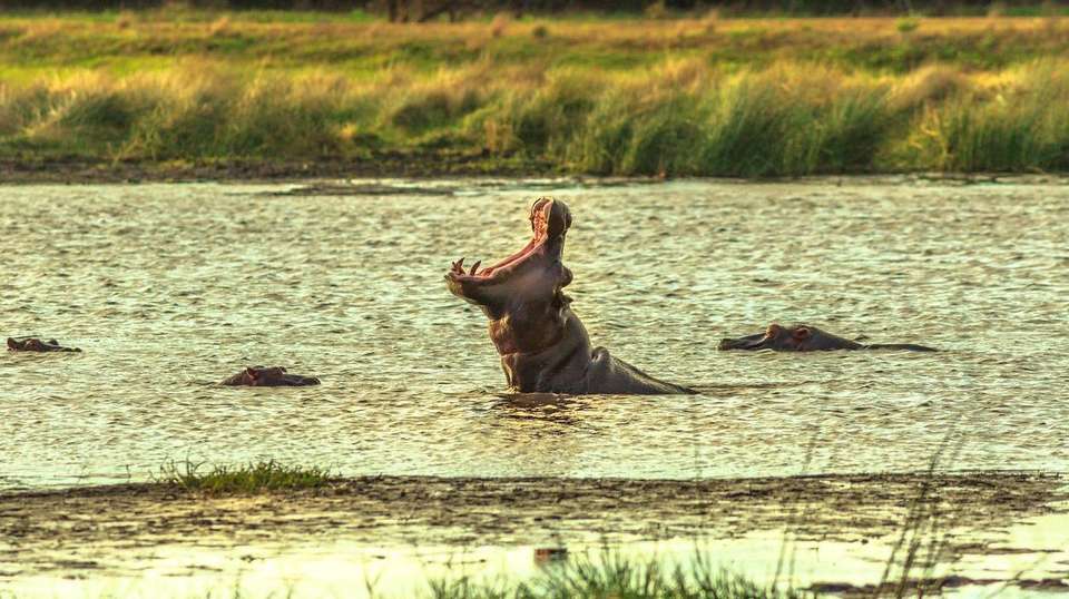 7-day Kruger, Eswatini  Durban Accommodated - undefined - Image 2