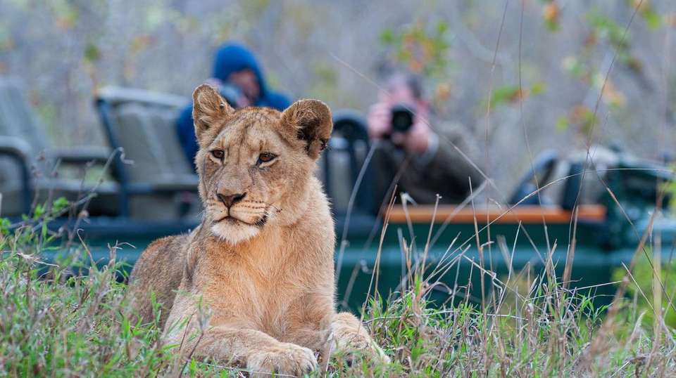 7-day Kruger, Eswatini  Durban Accommodated - undefined - Image 4