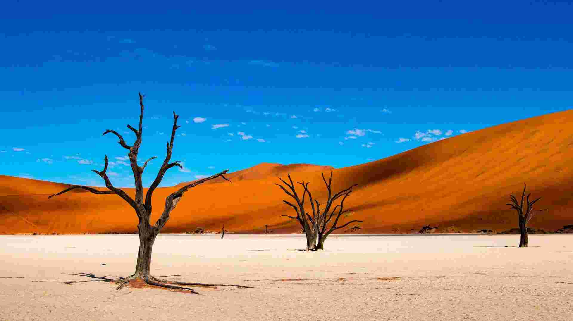 11-day Namibia to Cape Town Accommodated