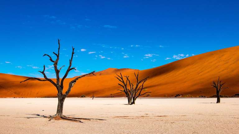 11-day Namibia to Cape Town Accommodated - 11 days