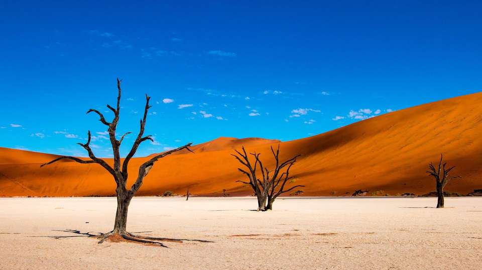11-day Namibia to Cape Town Accommodated - Acacia Africa - Namibia - Image 1