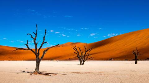 11-day Namibia To Cape Town Accommodated