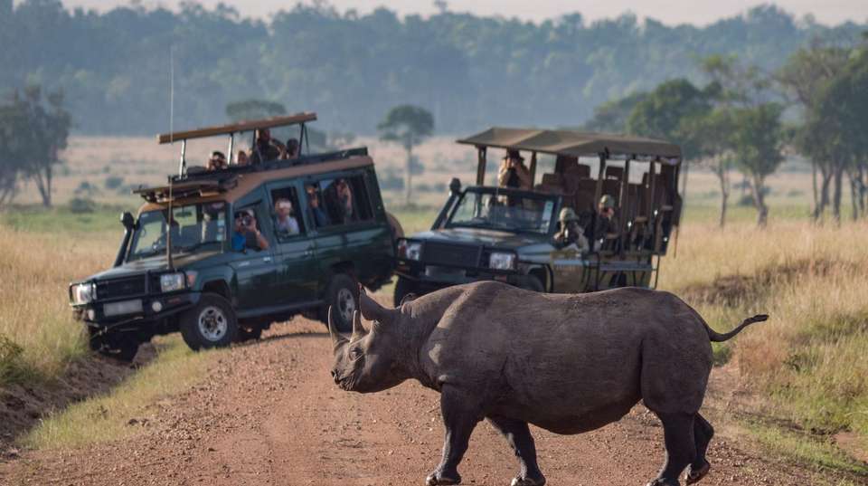 11-day Namibia to Cape Town Accommodated - Acacia Africa - Namibia - Image 2