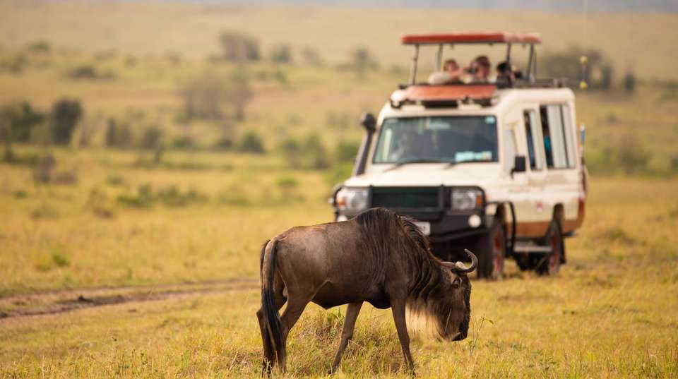 13-day Kenya Tanzania Adventure Accommodated - Acacia Africa - Kenya - Image 3