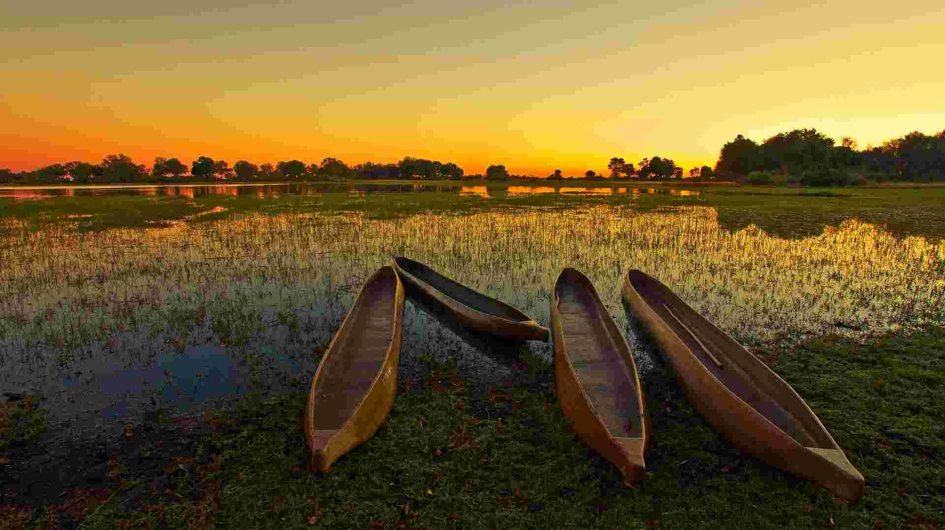 19-day Victoria Falls to Cape Town Accommodated