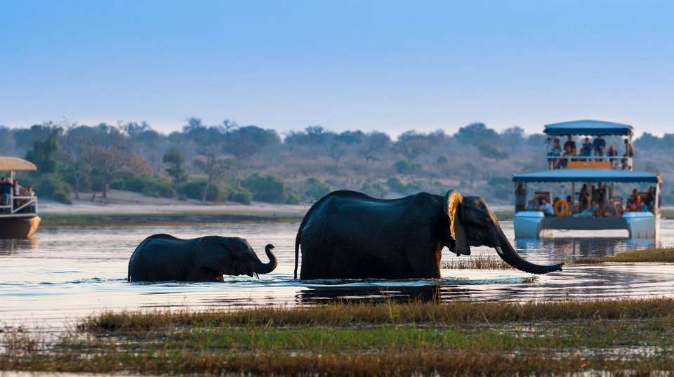 19-day Victoria Falls to Cape Town Accommodated - Acacia Africa - Zambia - Image 4