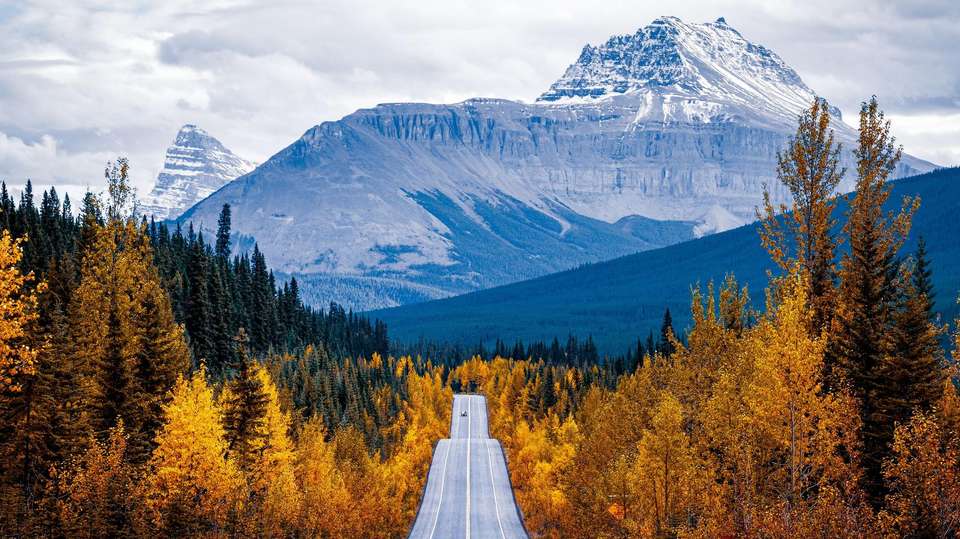 Spectacular Rockies and Glaciers of Alberta - Insight Vacations - Canada - Image 3
