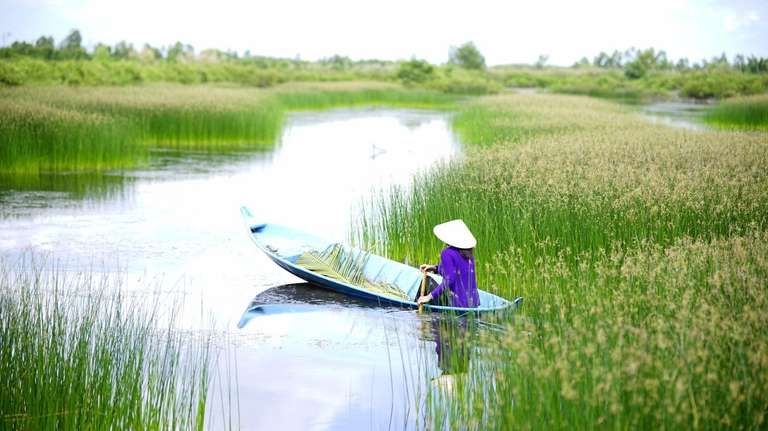 Amazing Vietnam & Cambodia and Thailand ends Chiang Mai (4 Star Hotels) trip - alternative tour available