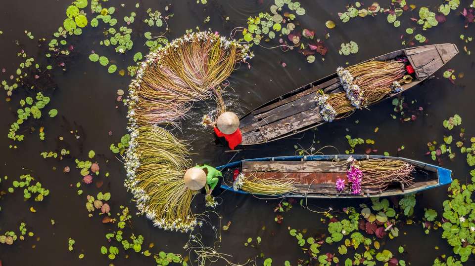 Amazing Vietnam & Cambodia and Thailand ends Chiang Mai (4 Star Hotels) - Travel Talk - Vietnam - Image 6