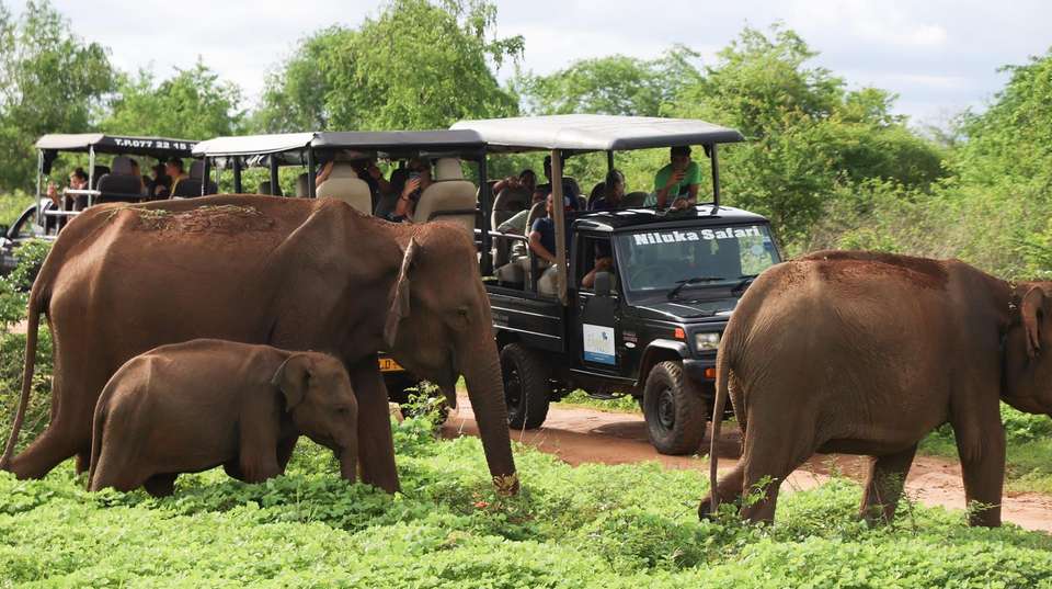 Sri Lanka - 12 Day Adventure Tour - One Life Adventures Ltd - Sri Lanka - Image 7