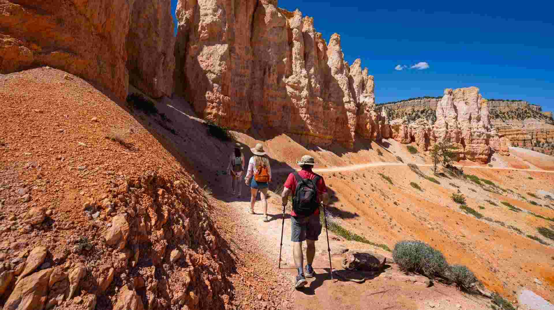 USA National Parks Explorer