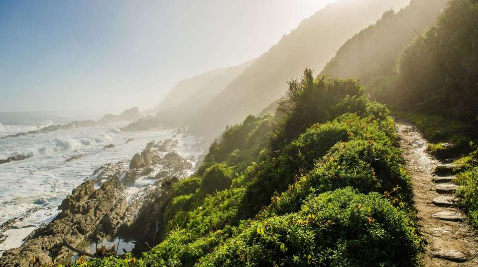 Cape Town & the Garden Route - Expat Explore - South Africa - Image 7